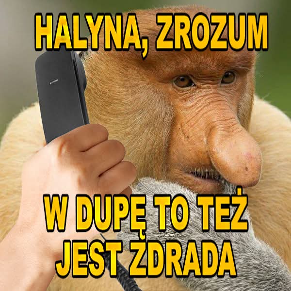 105942f8-40d6-45d7-9727-43d1e1dda881.jpg